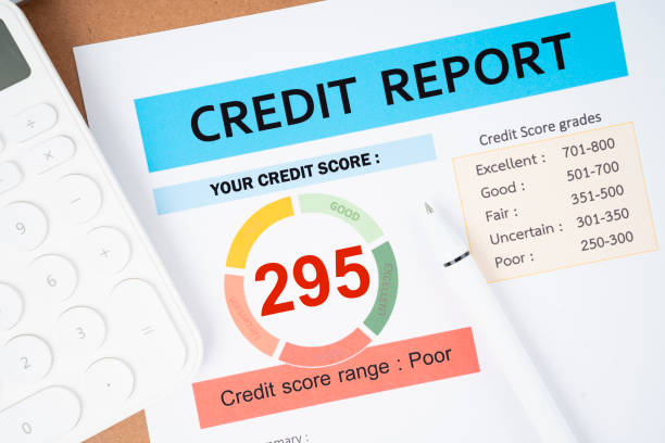 Top business credit reporting agencies Improve the methods of credit evaluation