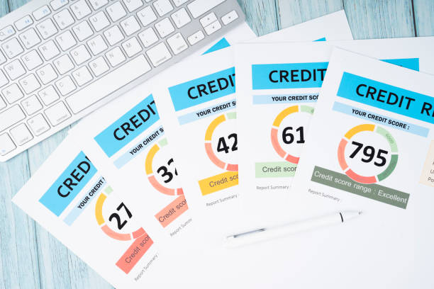 Simplify the market access process for business credit check services